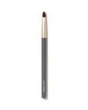 Lip Brush