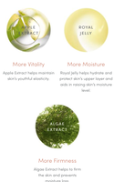 Smooth Affair® Primer & Brightener