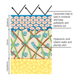 Skin Moisture Lock (60 Caps)